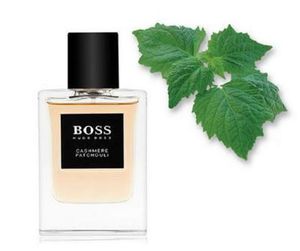 Hugo Boss Boss Collection Cashmere Patchouli