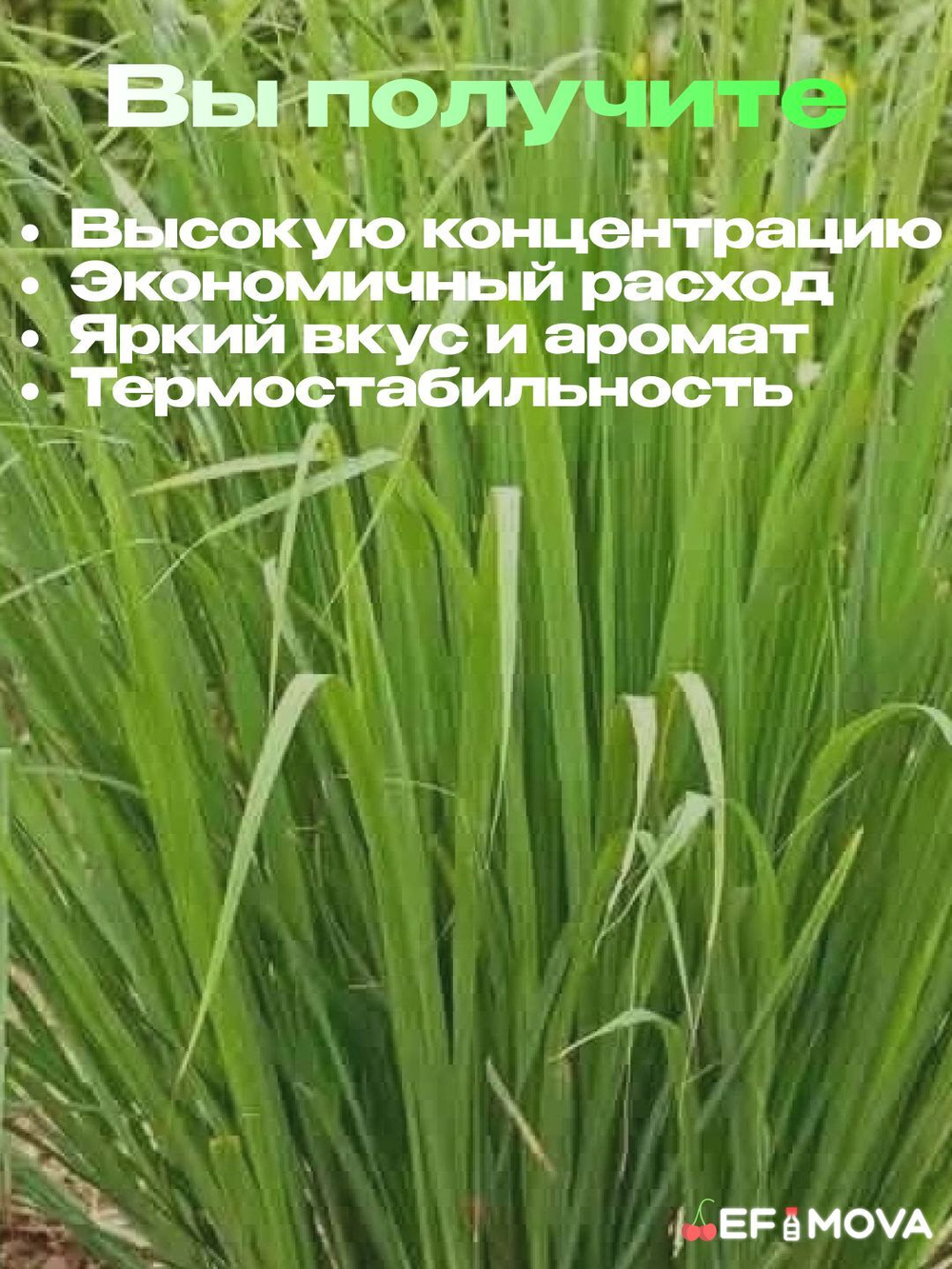 Ароматизатор пищевой натуральный "Лемонграсс" (21143)