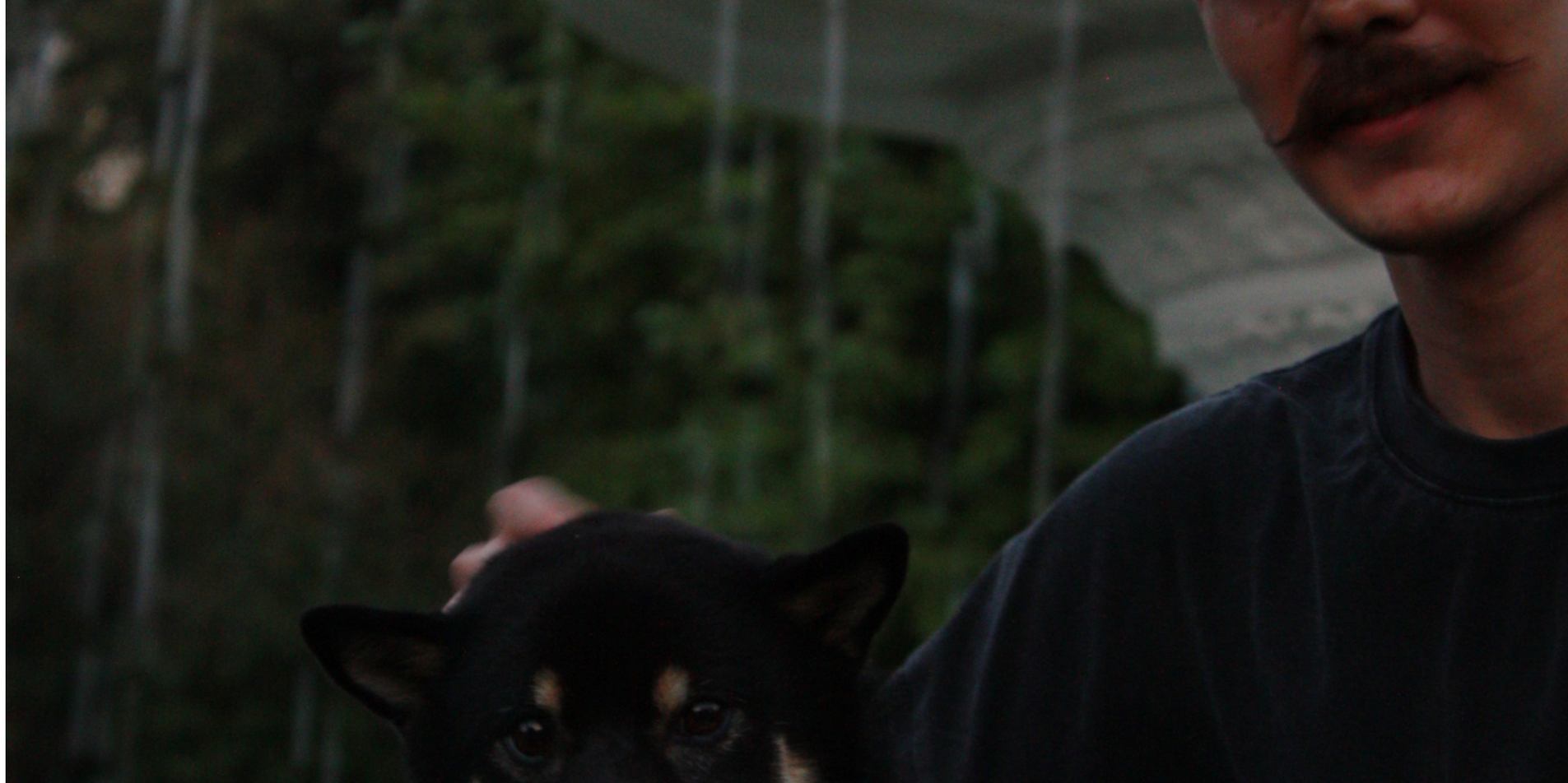 Фэмили лук — это просто