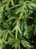 Ель искусственная «Форесто» (Литая+пвх) 150 см / 1.5 м