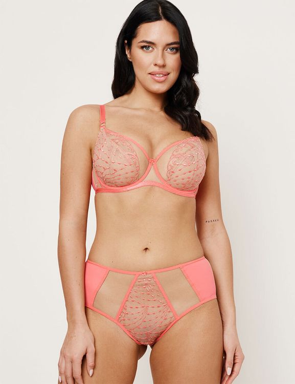 Трусы Subtille Naomi Coral слипы высокие (коралл)