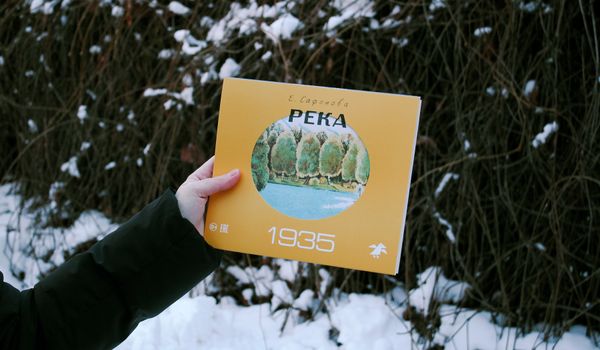 Река. Комплект из двух книг в папке. Елена Сафонова