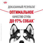 Royal Canin Maxi Digestive Care Корм сухой для взрослых собак больших размеров с чувствительным пищеварением 3 кг