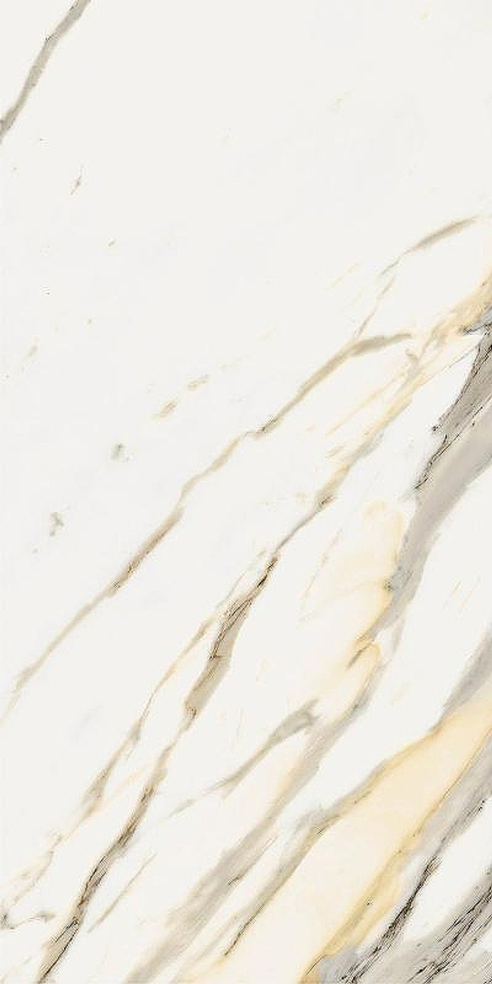 Керамогранит Italon Stellaris Calacatta Gold шлиф 610015000677 60х120 см