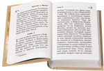 Святое Евангелие с выделенными словами Спасителя, карманный формат (Богослов)