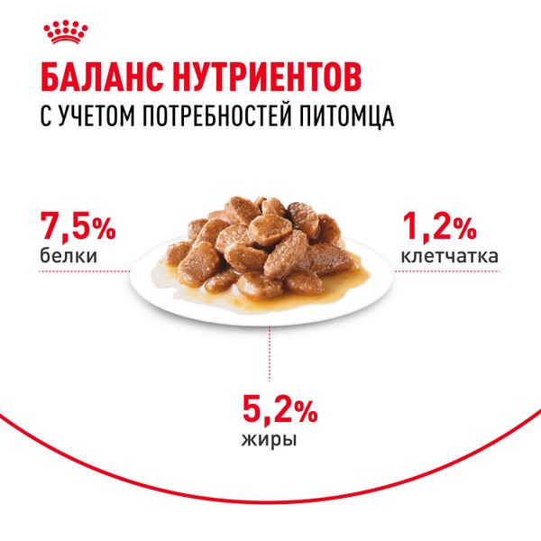 Пауч Royal Canin Mini Adult для взрослых собак мелких размеров от 10 месяцев, кусочки в соусе