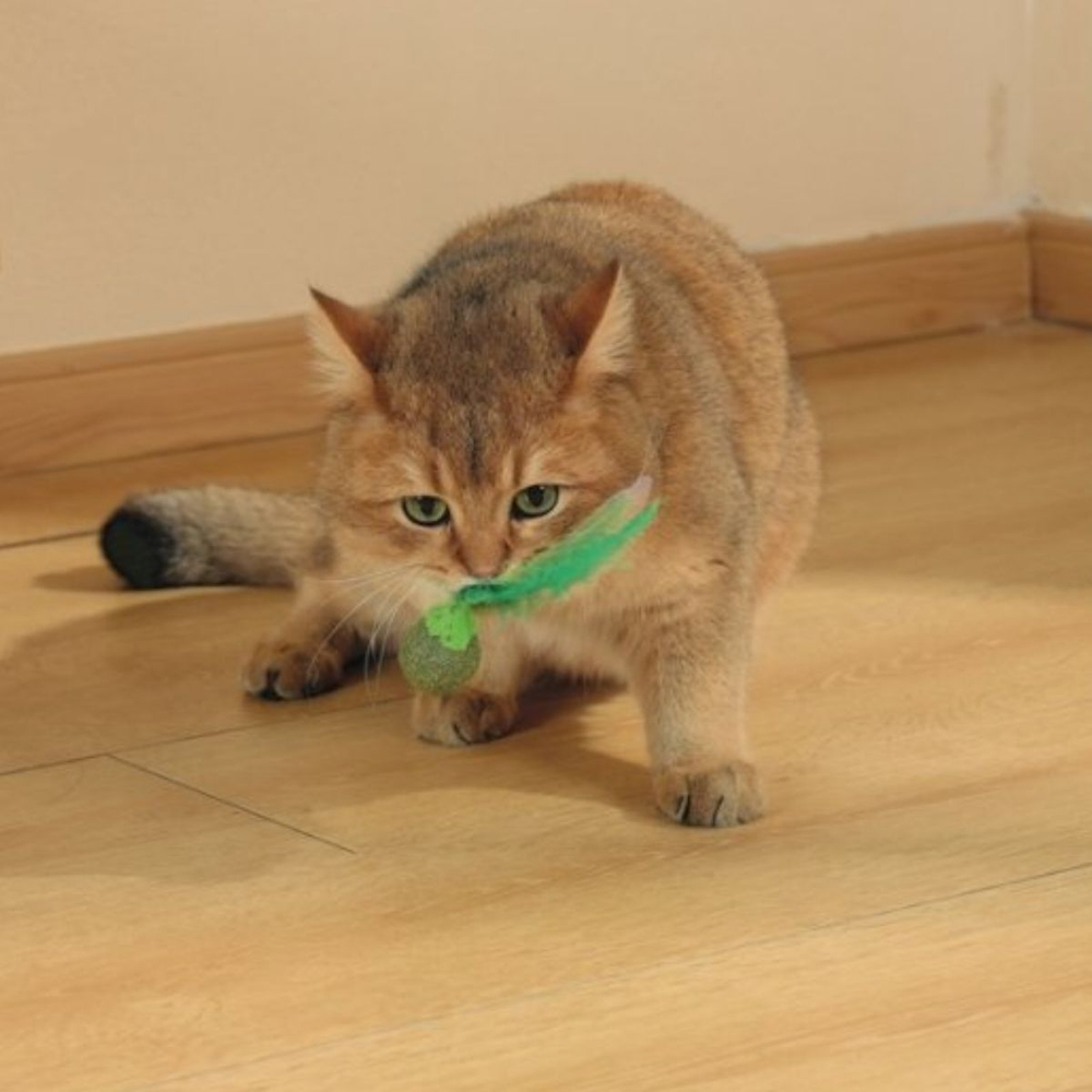 M-PETS Игрушка для кошек с кошачьей мятой CHARMY светлячок, цвет зеленый