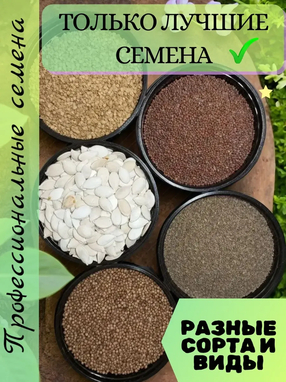 Кориандр (кинза) семена набор 3 шт