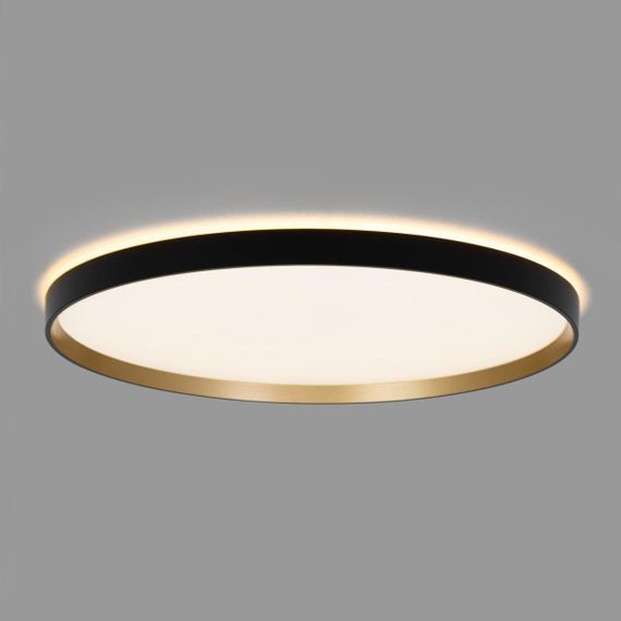 Светильник с пультом Citilux ETALON CL750501R