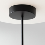 Подвесной светильник Maytoni MOD428PL-L20BK