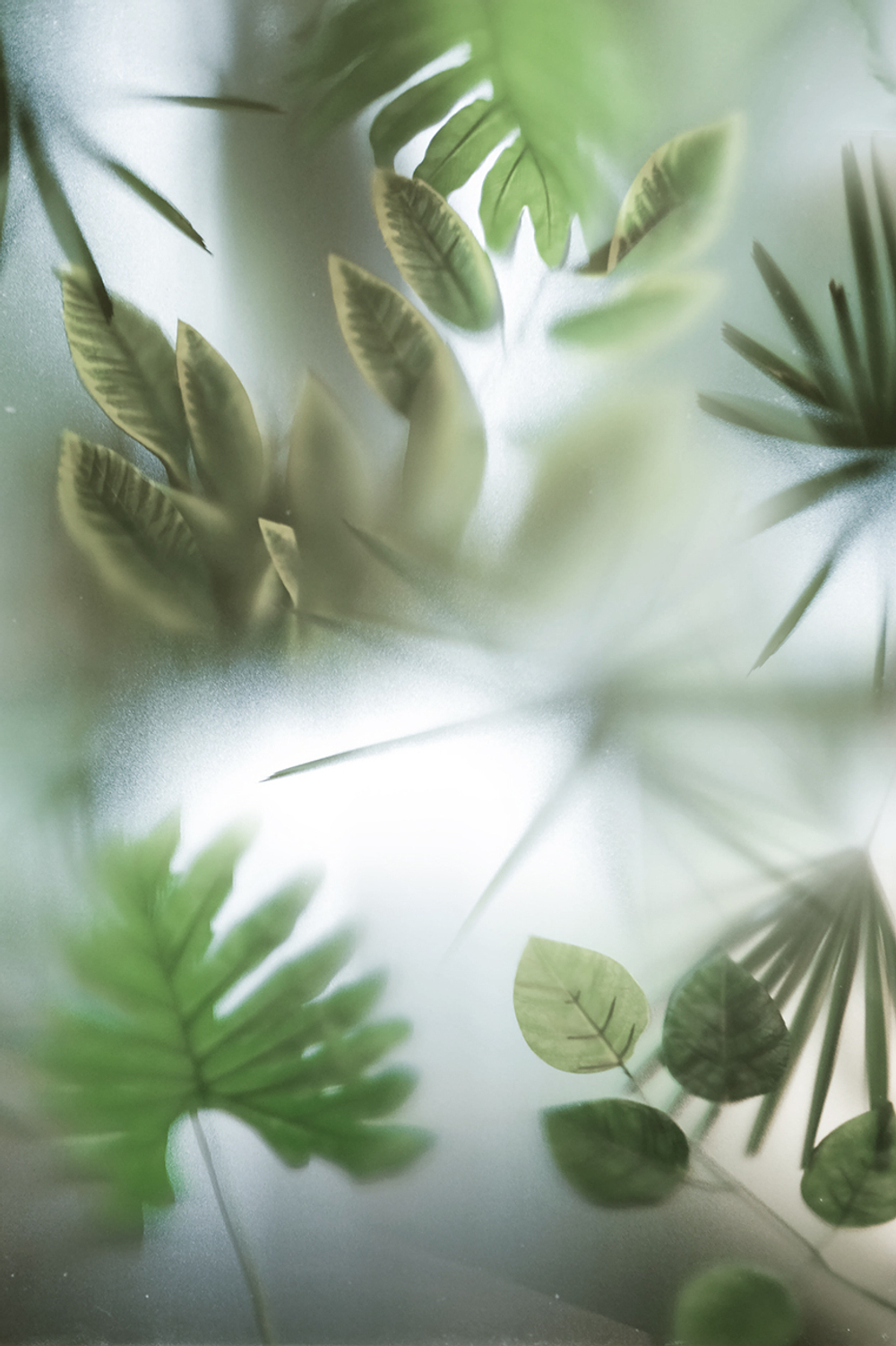 Коллекция GREENDAY 21