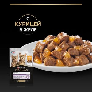 Пауч Pro Plan для котят, кусочки в желе с курицей