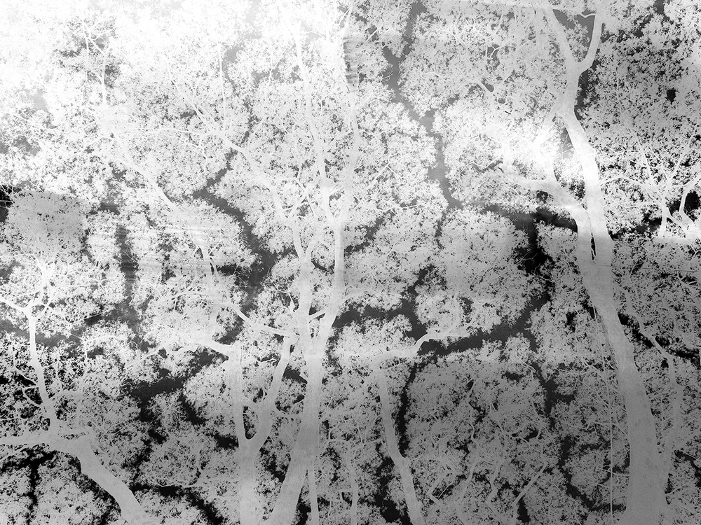 Коллекция VETVE 21