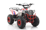 Квадроцикл MOTAX Grizlik A110