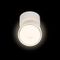 Спот Loft IT Focus 10323/A White