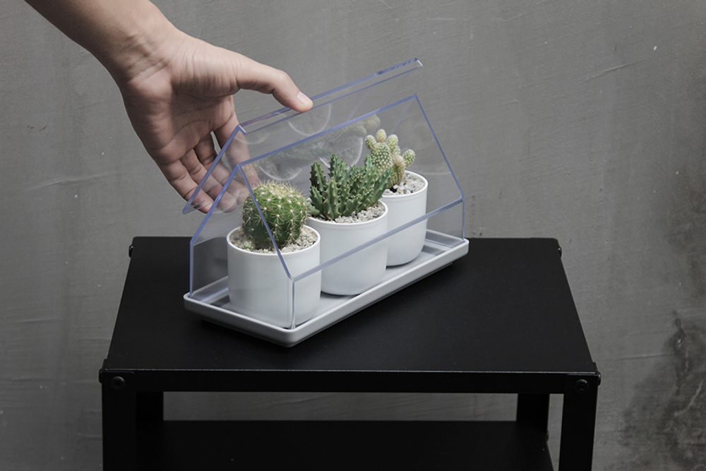 Лоток для выращивания растений micro green house, прозрачный