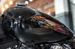 Мотоцикл Harley-Davidson Softail Standard