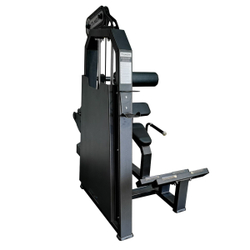 A2031 Разгибание спины. Стек 100 кг