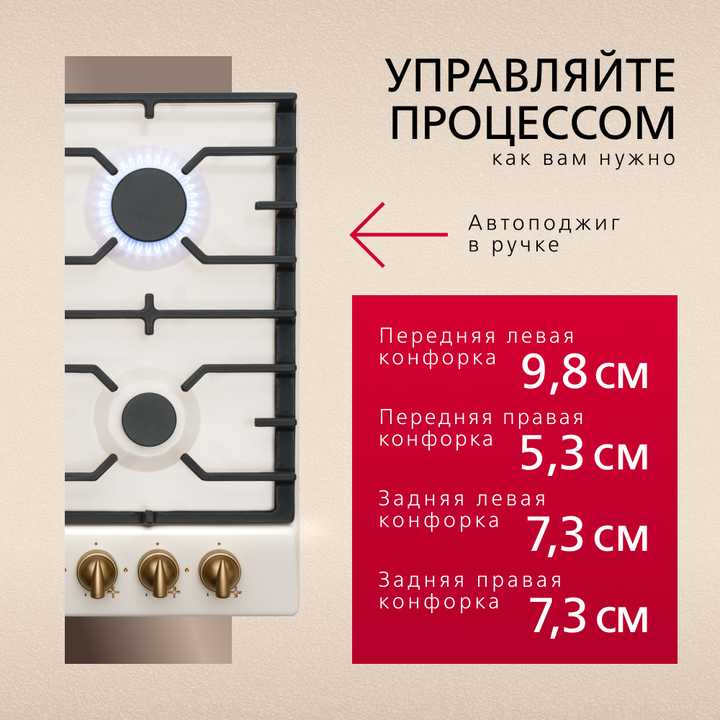 Газовая панель Hansa BHGY610791