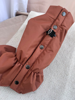 Демисезонный комбинезон для собак с длинными лапами (мальчик)