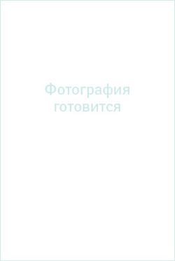 Юбка женская 3884ВП