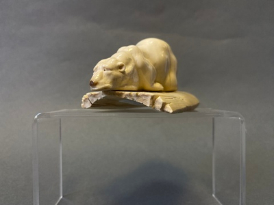 Кайф (медведь)