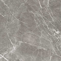 Alma Ceramica Imperiale Marble GFU04IMP07R 60x60