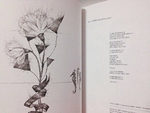 публикация Shinee Jonghyun - Diphylleia grayi - Things That Have Been Released And Set - , Novel Story Book With Photo