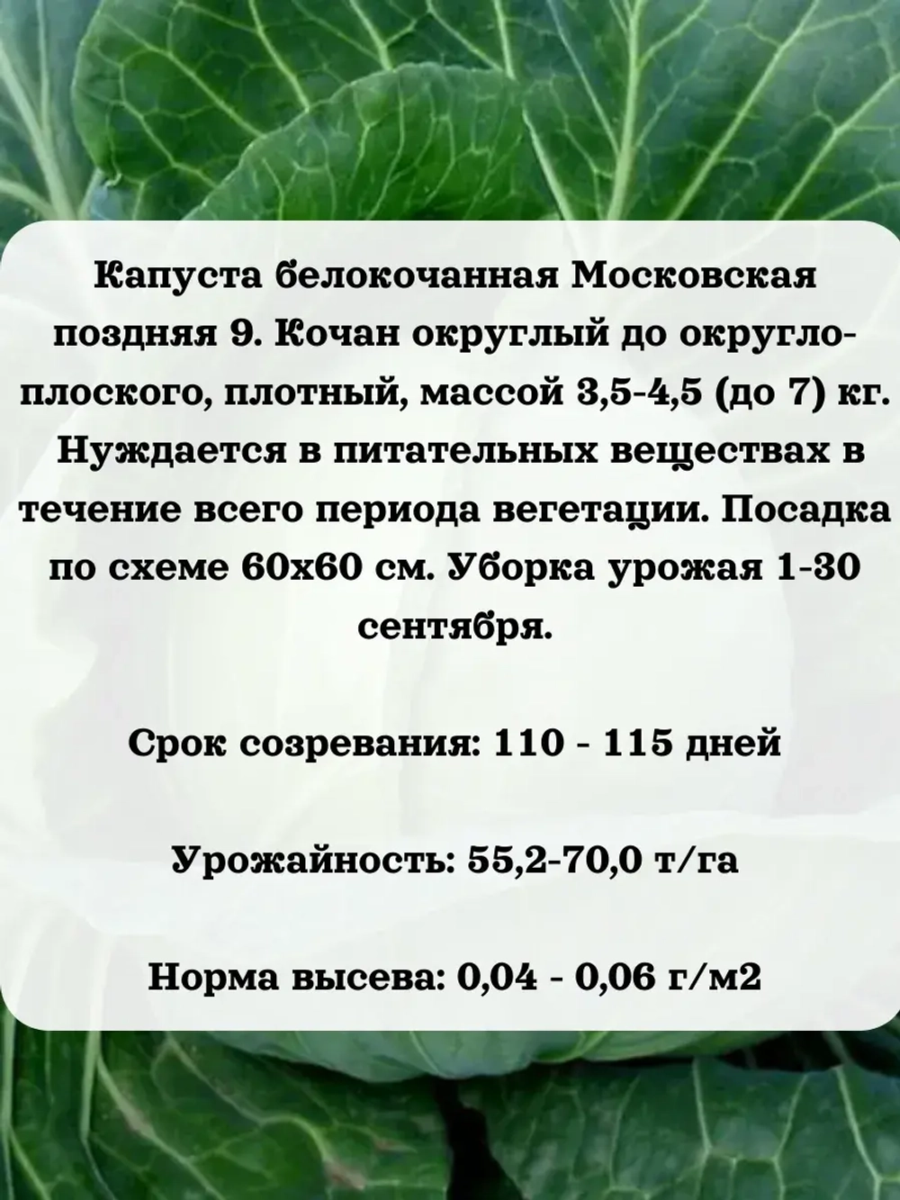 Семена Капуста набор микс 8 шт