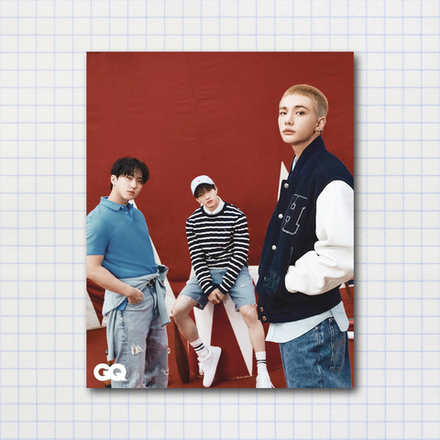 Мини-постер #205 / STRAY KIDS