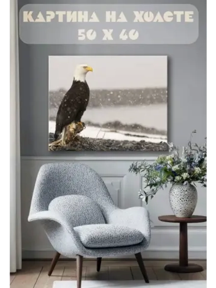 Картина на стену 40 X 50 Орлан