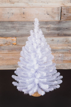 Ель Исландская 90см в мешочке белоснежная Triumph Tree