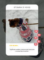 Амортизирующий поводок FATBOY RUFF Zee.Dog