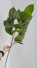 Магнолия / Арт 3061