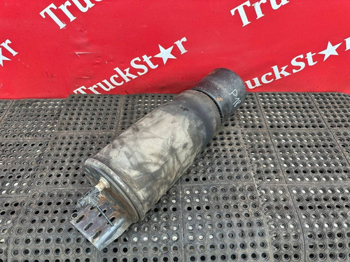 Подушка пневмоподвески задняя 2019г.