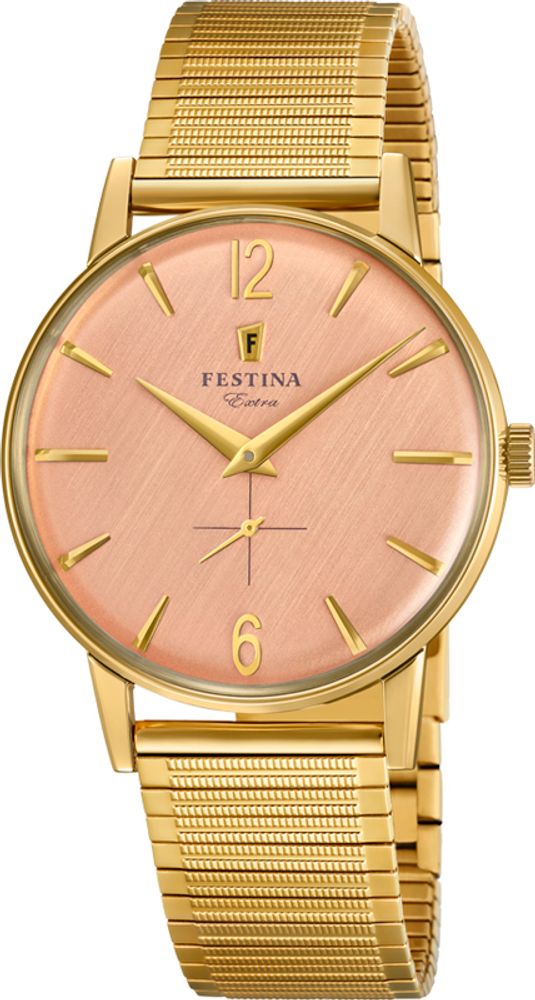 Мужские наручные часы Festina F20251/3