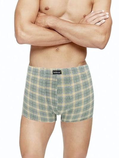 Клетчатые трусы-шорты (Размер: M) (Цвет: зеленая шотландка)