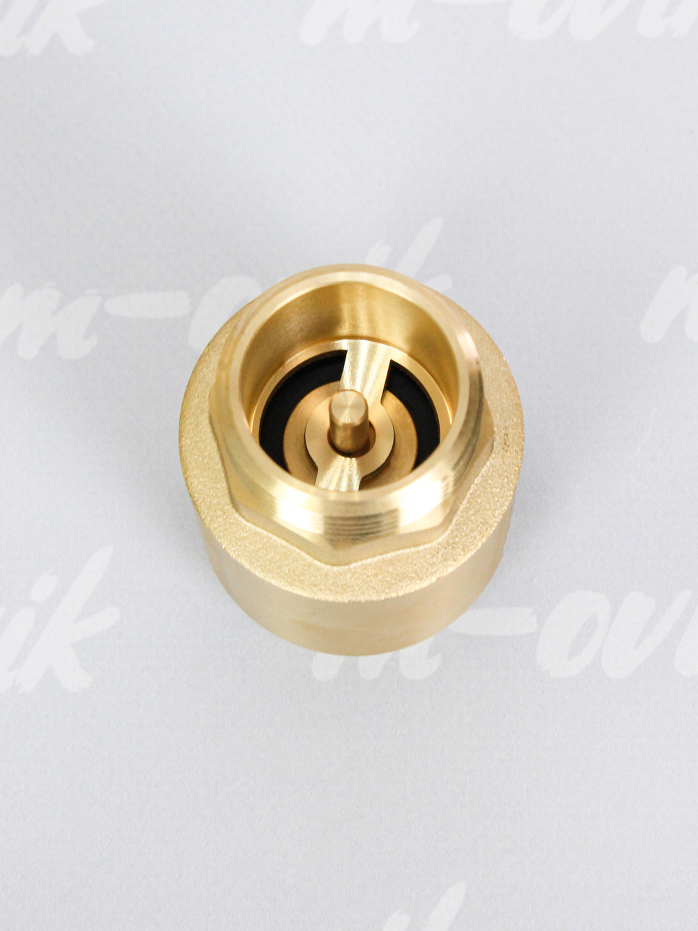 FV-D 1 (2)