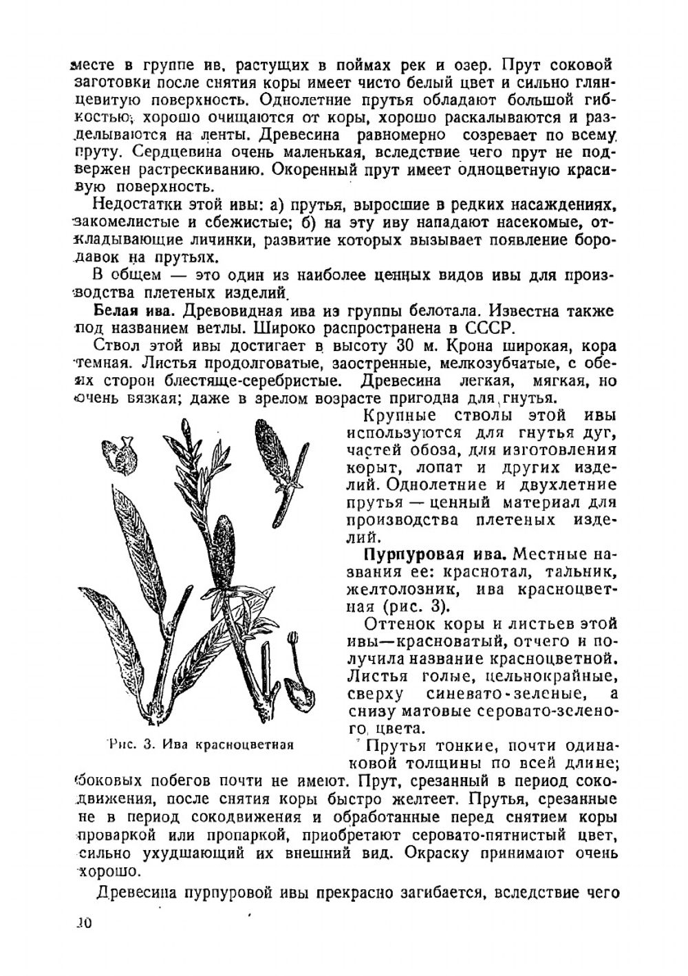 Производство корзин и плетеной мебели | Чесноков Василий Иванович