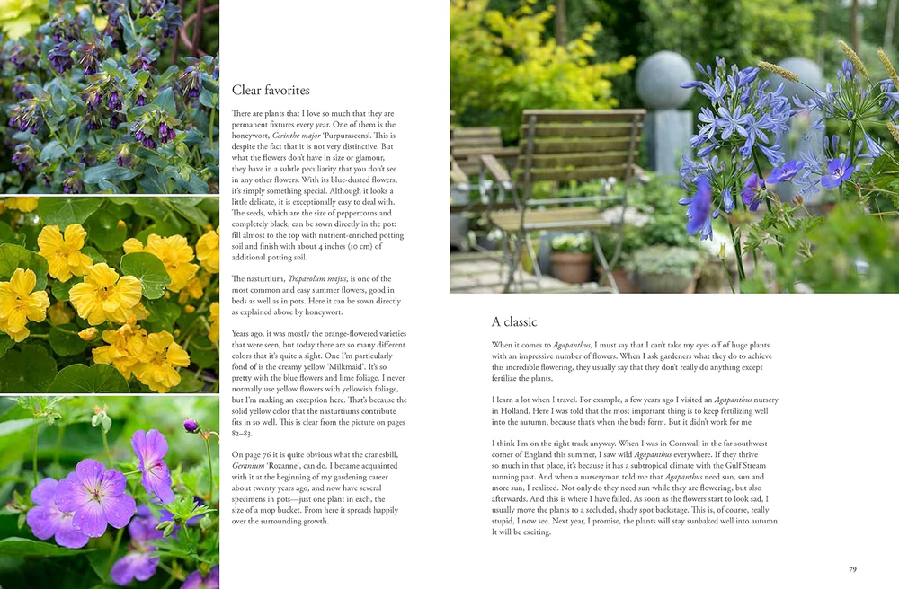 Containers in the Garden