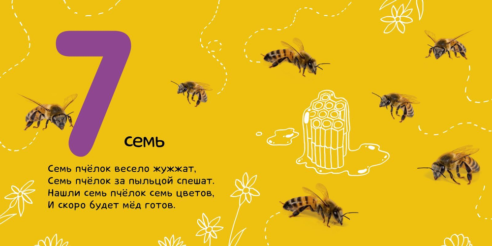 Числа. Солнечная фото-книга (переиздание)