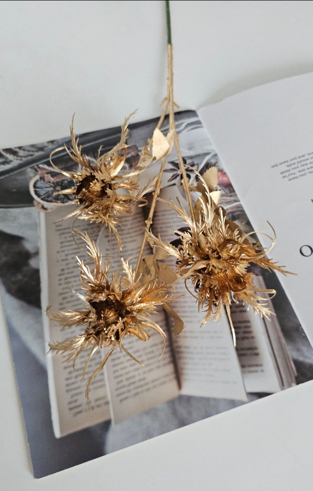 Гвоздика песчаная золото / Арт 4366