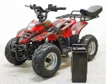 Электроквадроцикл Green Camel Гоби K70 (36V 800W R7 Дифференциал)