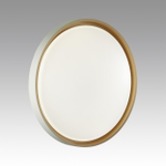 7645/ELN COLOR SN 158 Светильник пластик/белый/оранжевый LED 76Вт 3000/4000/6000К D520 IP43 CCT KISIL