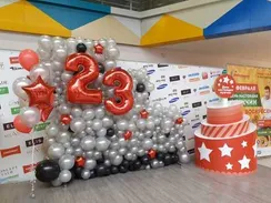 Панно из шаров "23 февраля"