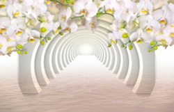 Коллекция 3D эффекты