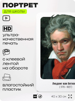 Портрет для школы в кабинет музыки "Людвиг Ван Бетховен", стенд школьный для класса, деятели науки для оформления классного уголка, 40х30 см, Silver Plane x Айдентика Технолоджи