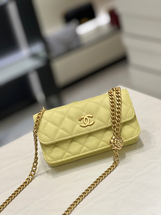 Chane1 Bag 17 cm