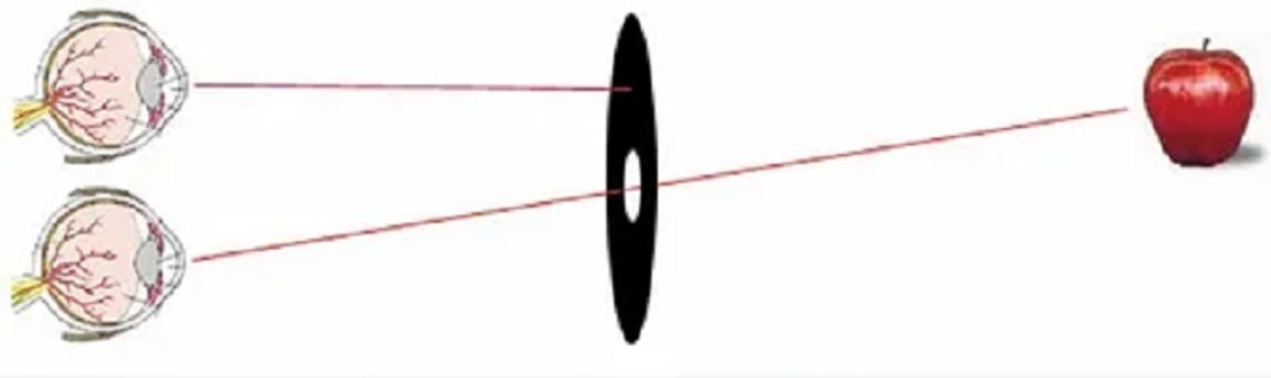 Ведущий и ведомый глаза при подборе очков: важность учета доминантности