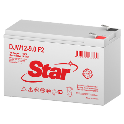 Аккумулятор STAR DJW12-9.0 F2